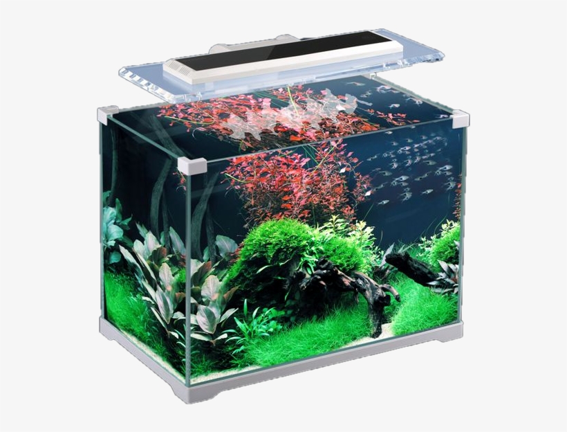 Aquarium Png - Sunsun Atk 350, transparent png #5262368