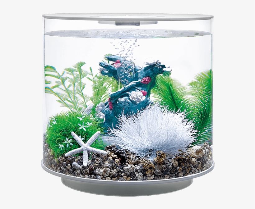 Biorb Tube - Biorb Flower Garden, transparent png #5262607