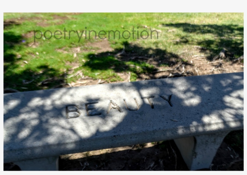 Malibu Park Bench Wm, transparent png #5263451