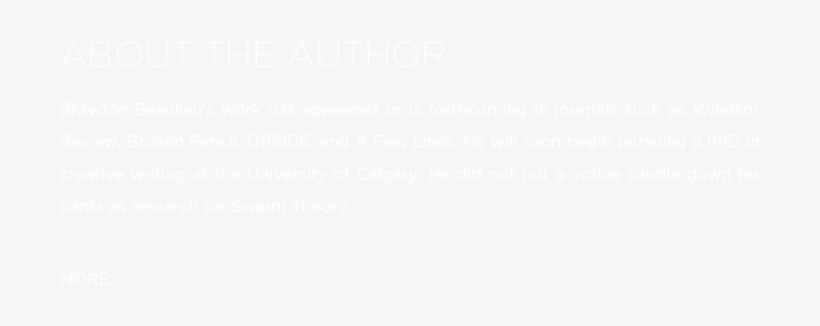 About The Author Braydon Beaulieu's Work Has Appeared - Playstation White Logo Png, transparent png #5264477