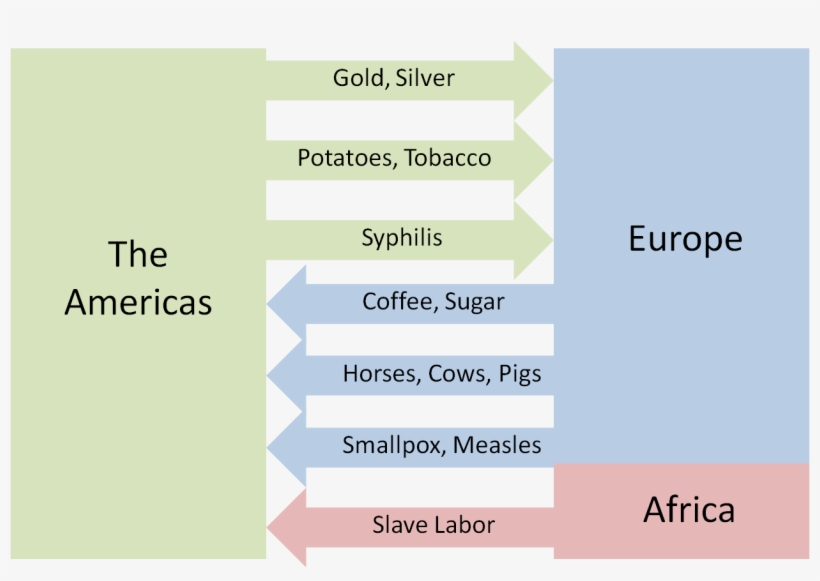 Example Questions - Columbian Exchange Technology Chart, transparent png #5265769