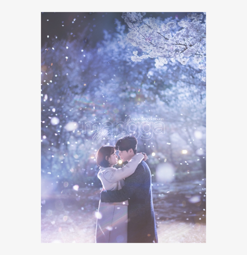 While You Were Sleeping Serentak Tayangan Di Korea Poster While