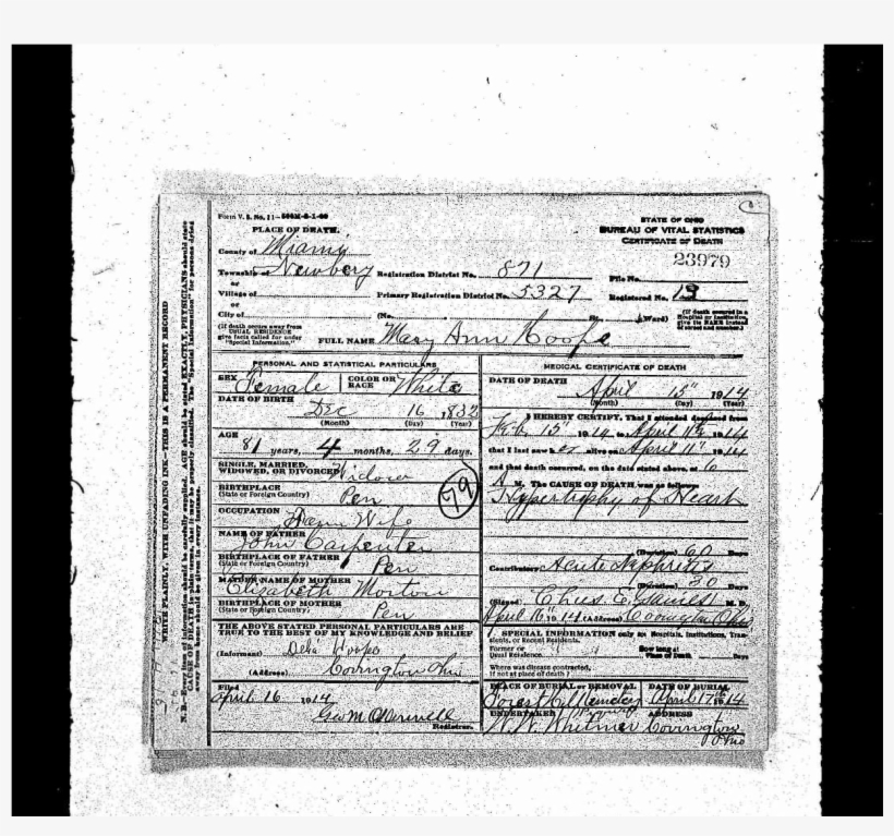 Dist Ctx=artctxpublic, transparent png #5268067