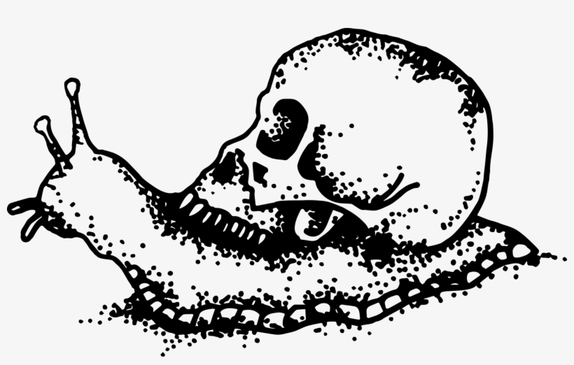Caracol, transparent png #5268169
