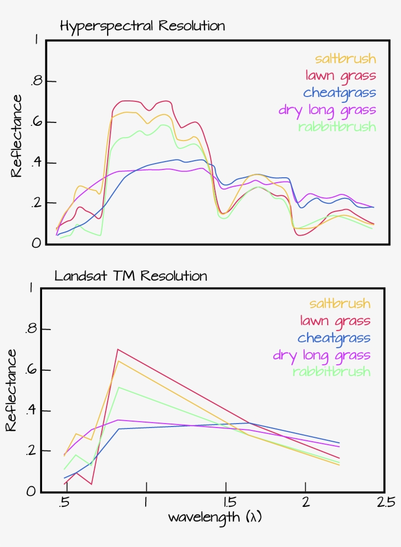 A Hyperspectral Instruments Records Reflected Light - Diagram, transparent png #5268439