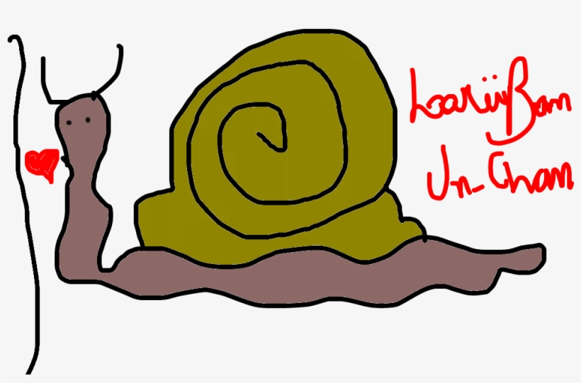 Caracol - Drawing, transparent png #5268492