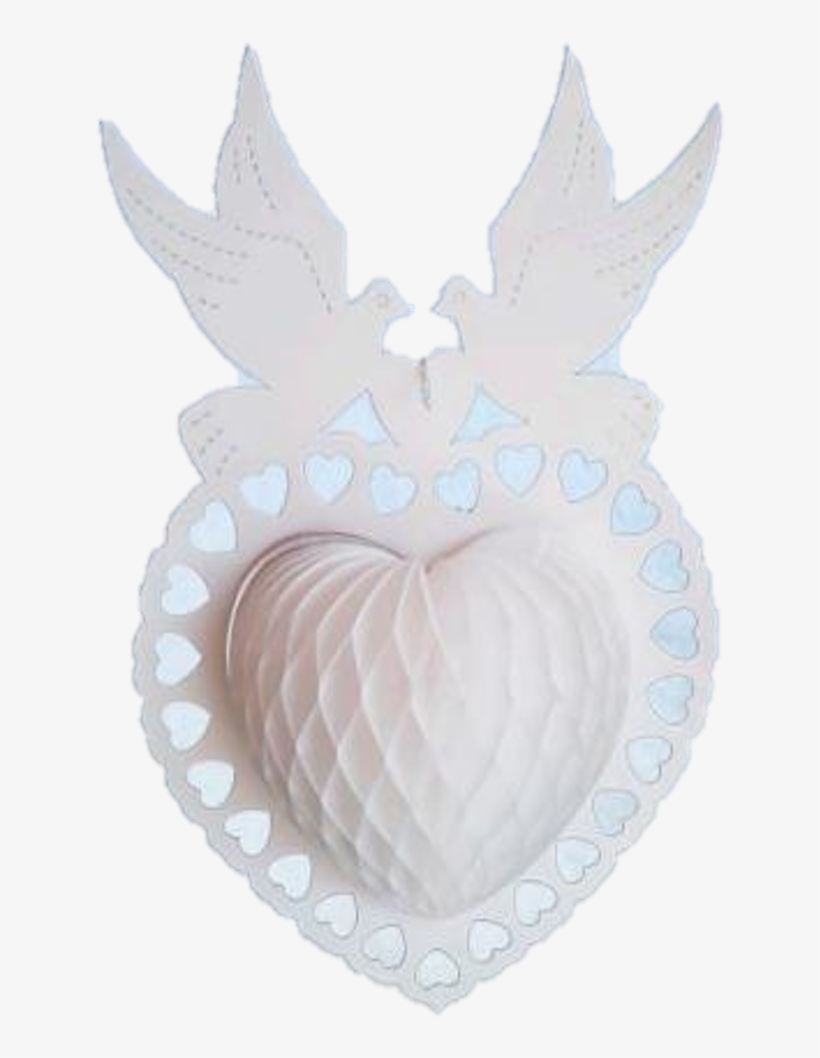 Paloma Color Blanco - Owl, transparent png #5269751