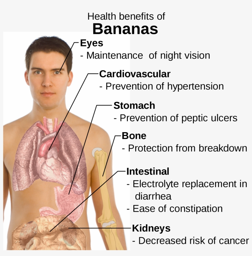 Open - Benefits Of Eating Bananas, transparent png #5270498