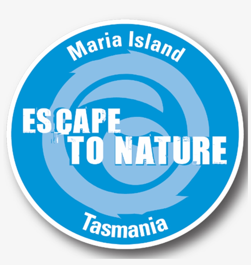 Visitors Explore The Island To Disconnect From Ordinary, transparent png #5271580