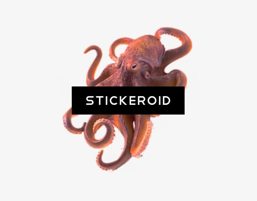 Octopus - Schleich Giant Octopus 1:32, transparent png #5271927