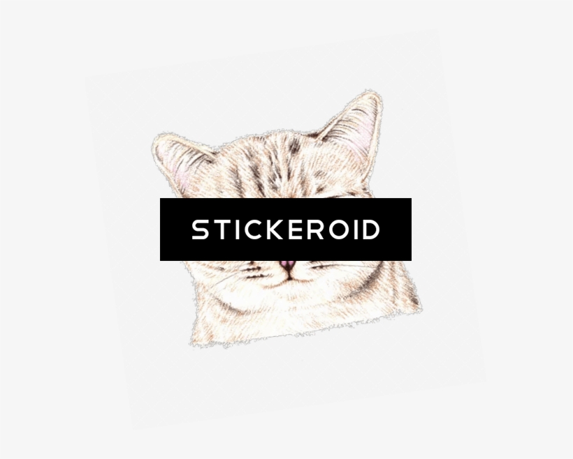 Grumpy Frowning Gloomy Somber Sulky Серьёзный Суровый - Duke Nukem Forever Box Art, transparent png #5273200