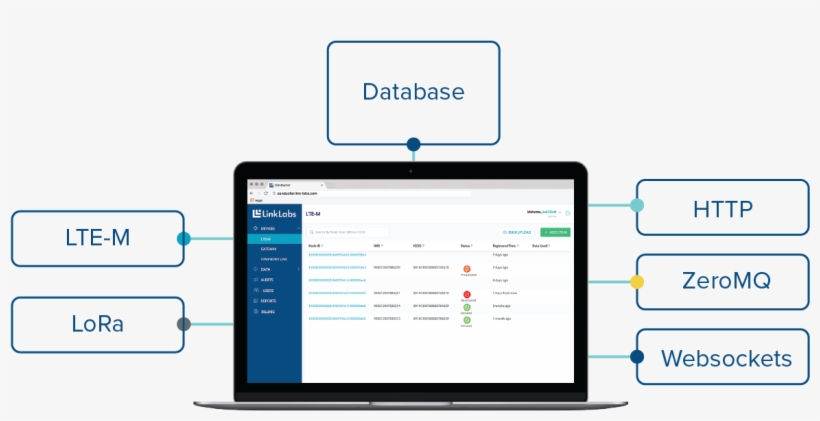 Simple Apis - Graphics, transparent png #5273666