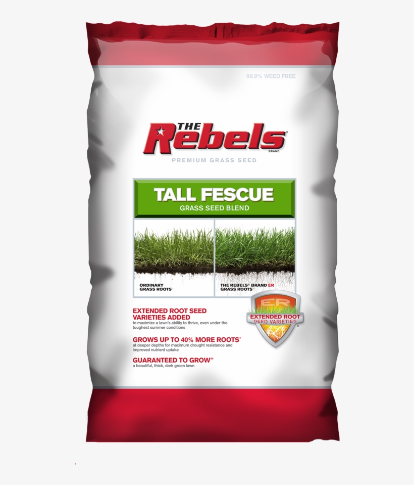 Rebel Tall Fescue Blend 7lb - Pennington Seed Inc 3-lb. Rebel Fescue Seed, transparent png #5276422