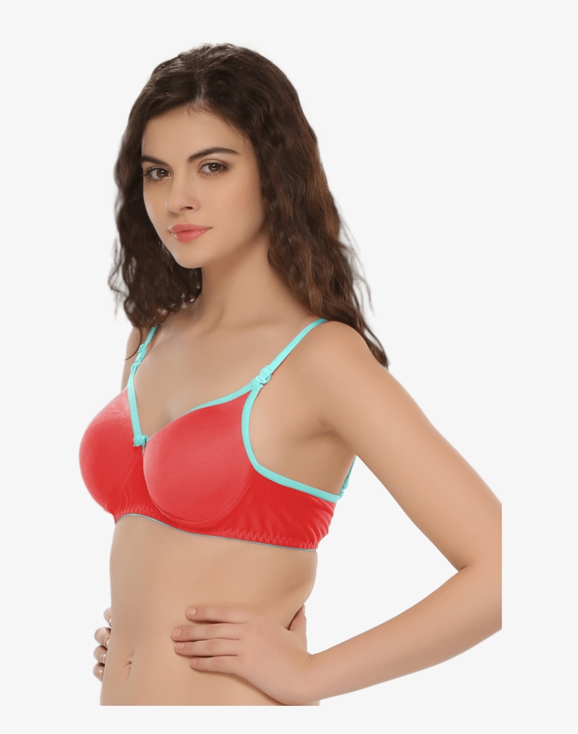 Padded Non Wired T Shirt Bra - Bra, transparent png #5276535
