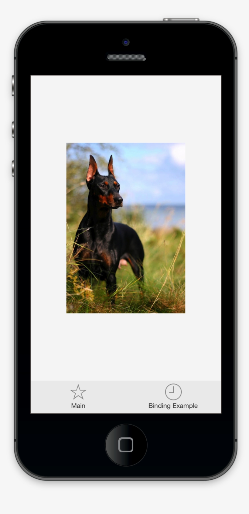 It Minimizes The Amount Of Lines Of Code You Have To - Dobermann, transparent png #5278098