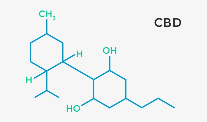 Research Studies - Thc Component, transparent png #5280252