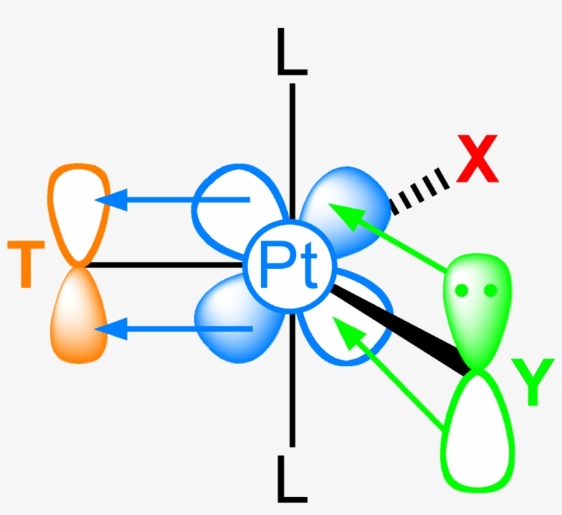 Trans Effect Trigonal Bipyramidal Intermediate Pi Orbitals - Trans Effect, transparent png #5280420