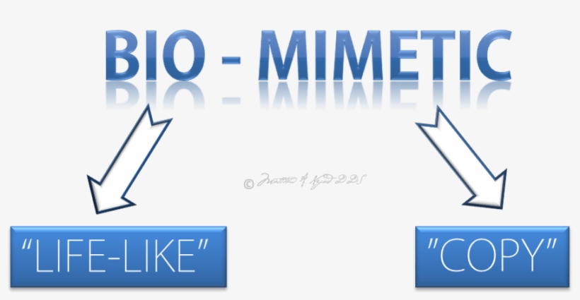 Biomimetic Dentistry Replicates The Strength, Function, - Biomimetics In Dentistry, transparent png #5282596