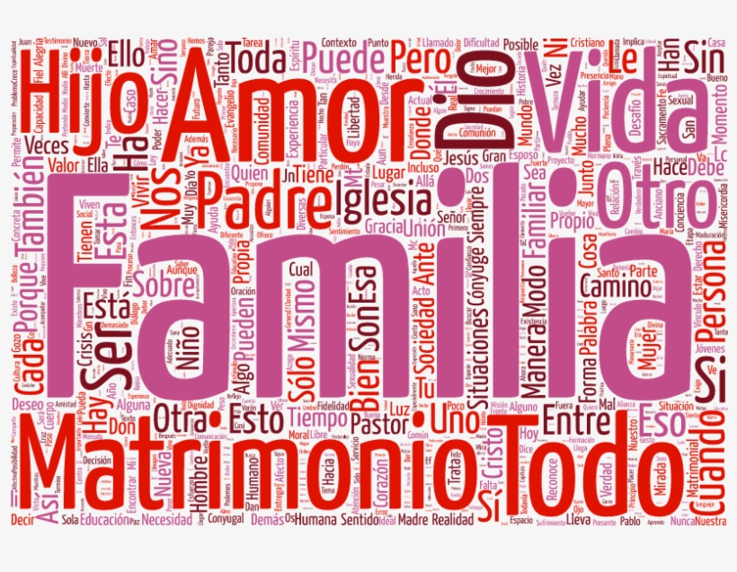 La Alegría Del Amor Publicada La Nueva Exhortación - Alegria Del Amor, transparent png #5283786