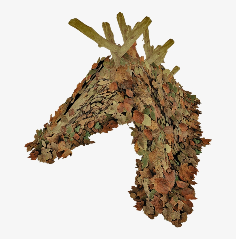 Forest Shelter Png, transparent png #5284536
