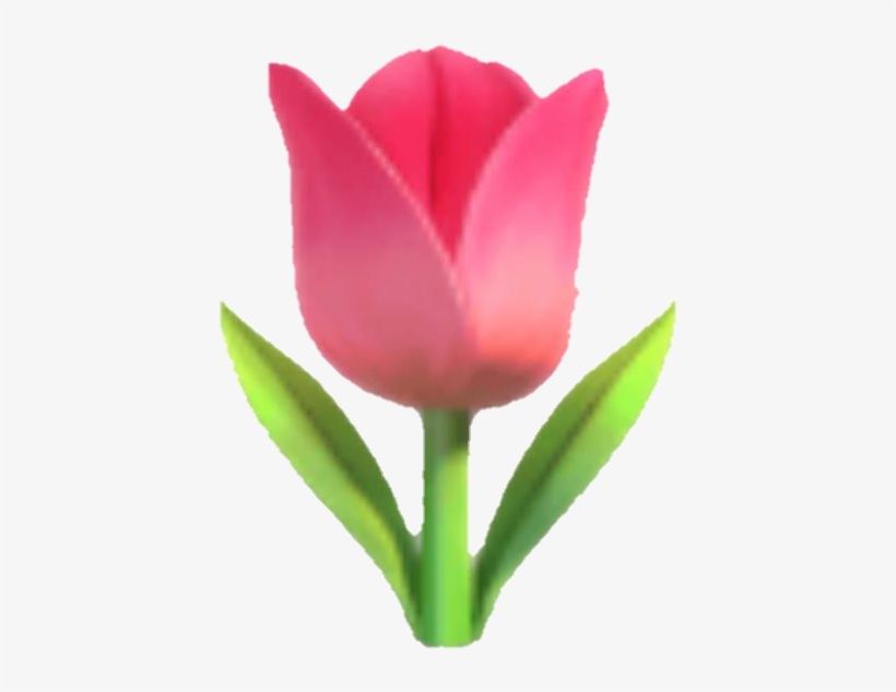 Emoji Tulip Flower Pink Pinkflower - Whatsapp Emoji Tulpe, transparent png #5285464