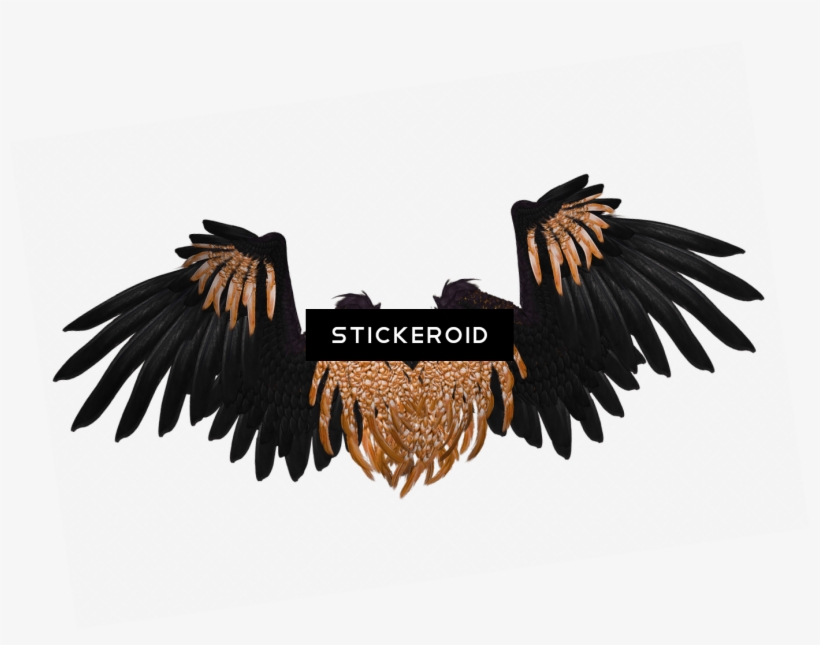 Wings Black And Brown Crow - Clip Art, transparent png #5286206