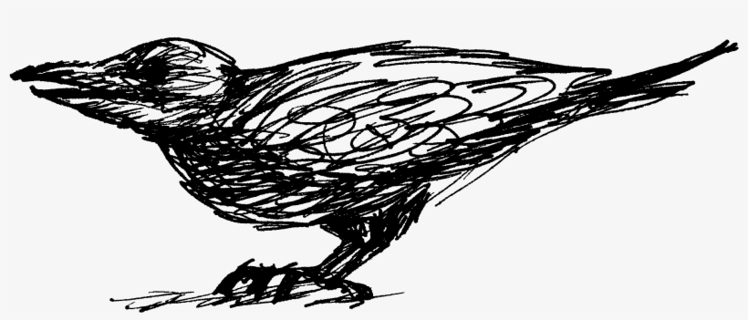 Updated Time And Meeting Places For The M - Sketch, transparent png #5286322