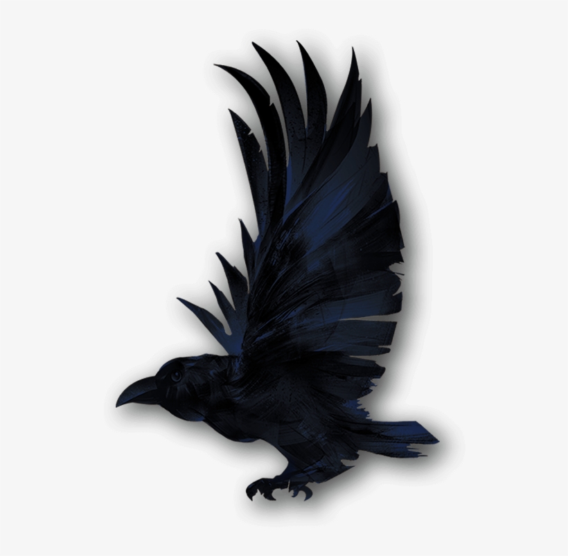 Personal Protection - Bird, transparent png #5286620