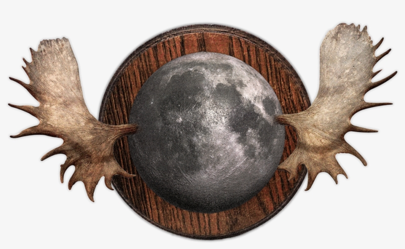 Adler-small, transparent png #5290469