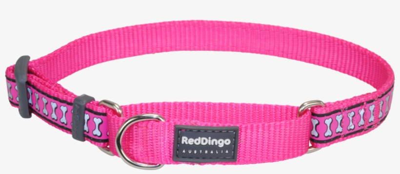 Martingale Reflective Bones Dog Collar - Red Dingo Reflective Hot Pink Small Martingale Collar, transparent png #5291522