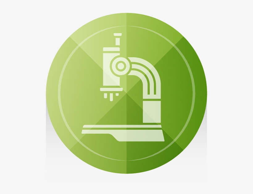 Circle, transparent png #5291798