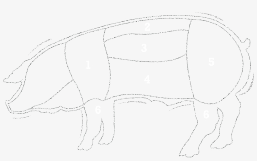 Cuts Chart - Sketch, transparent png #5293462