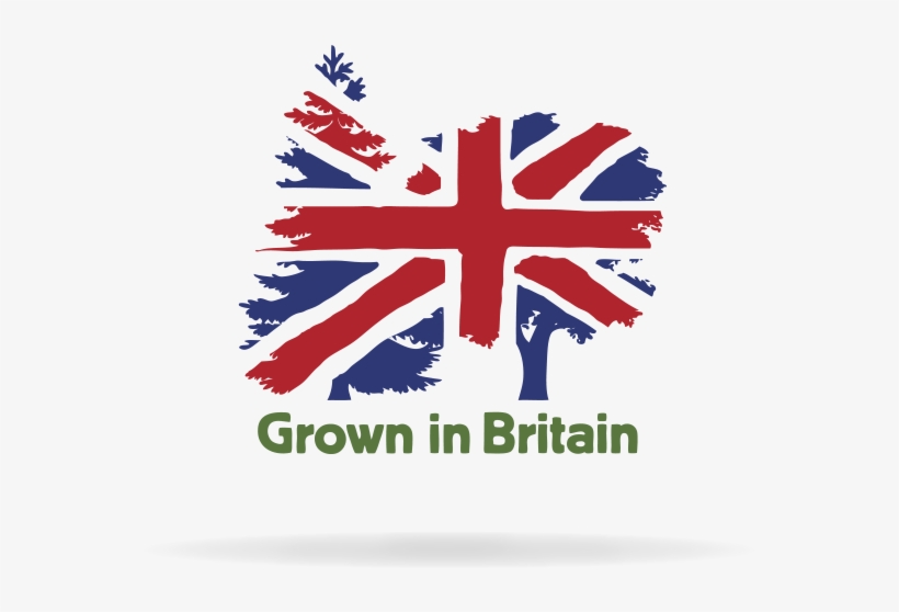 From Seed To Store - Grown In Britain Logo, transparent png #5295518
