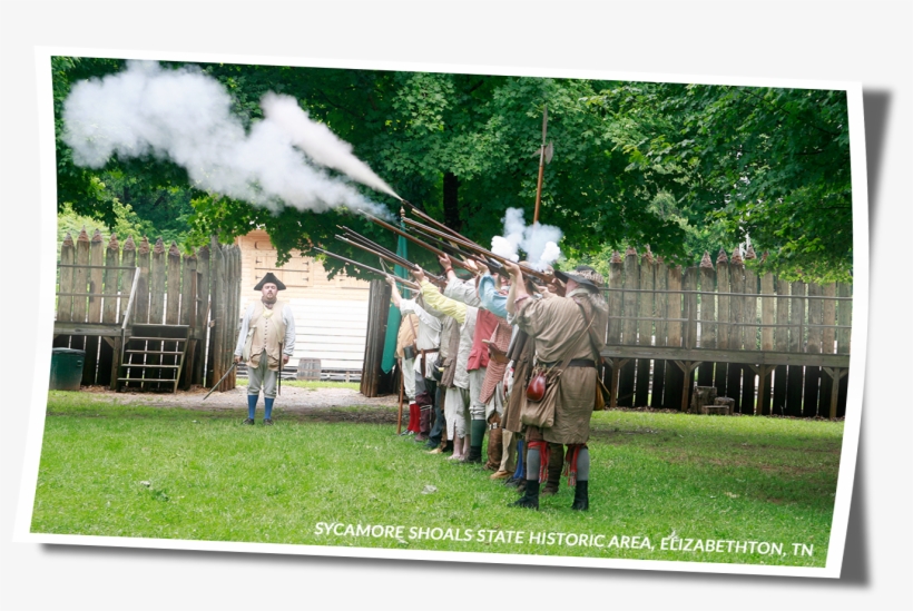 The Birth Of American Freedom - Grass, transparent png #5296236
