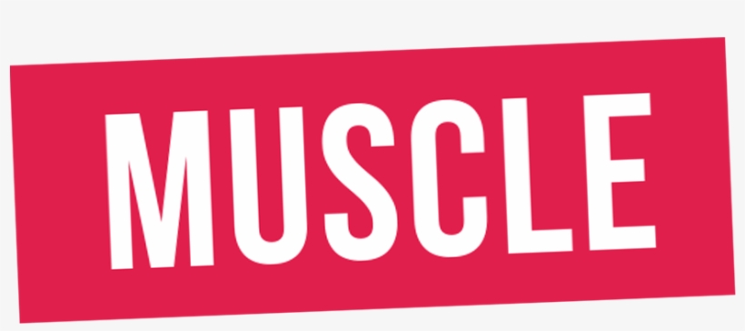 Hustlecon Logo, transparent png #5299632