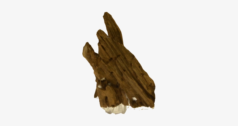 Driftwood - Wood, transparent png #530634