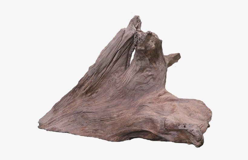 Driftwood, transparent png #530653