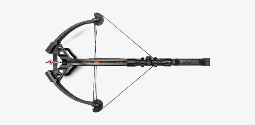 Stallion - Top Side Of A Crossbow, transparent png #530864