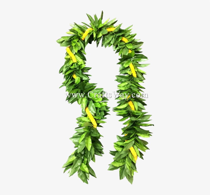 Lei-1003 Untied Maile & Ilima Lei - Wreath, transparent png #530937