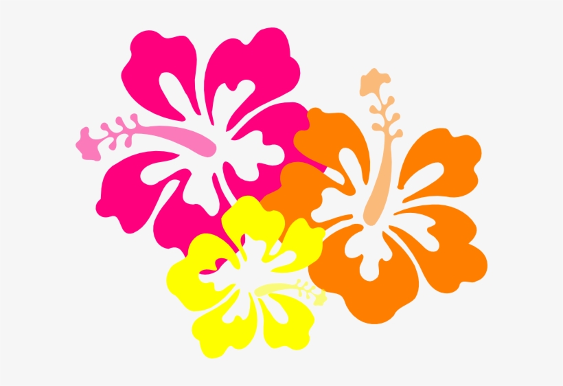 Hibiscus 22 Clip Art At Clker - Hibiscus Clip Art, transparent png #531002