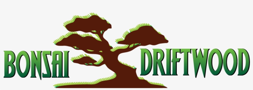 Bonsai Driftwood For Aquarium - Tree, transparent png #531174