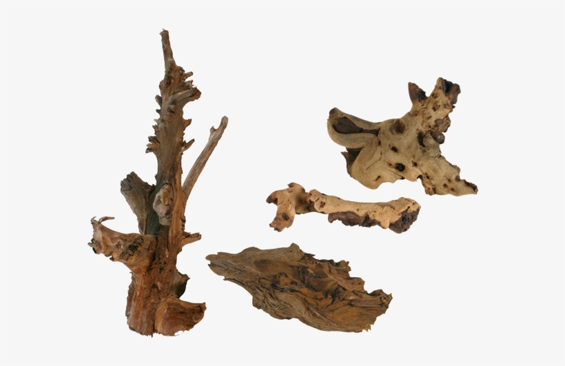 Beginner Guide - Wood, transparent png #531195