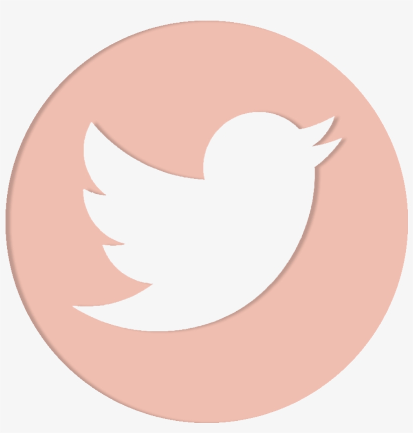 Social Media - Transparent Twitter Logo Png, transparent png #531219