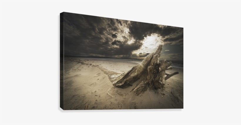 Alberta, Canada - Posterazzi Dpi1874334 Alberta, Canada - Driftwood On, transparent png #531347