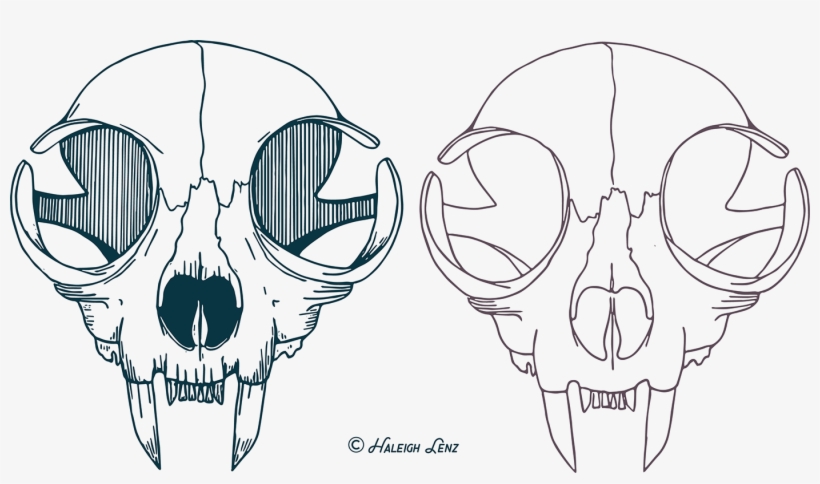 Cat Skull Vector Illustration On Behance Graphic Black - Transparent Cat Skull Vector, transparent png #532120