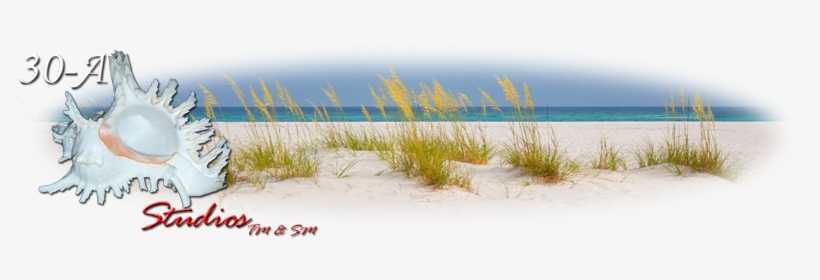 Established - 30-a Studios, transparent png #532150