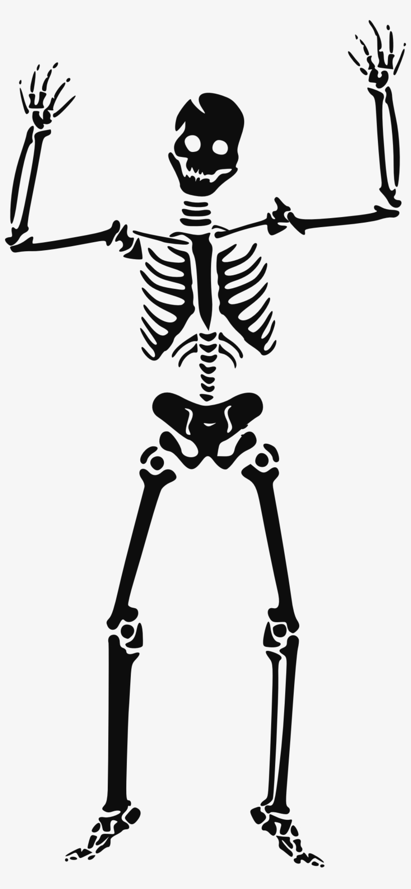 Famine Clip Art Clipart Clip Library Stock - Skeleton Clipart, transparent png #532229