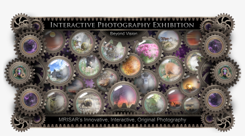 Art Exhibition, transparent png #532308