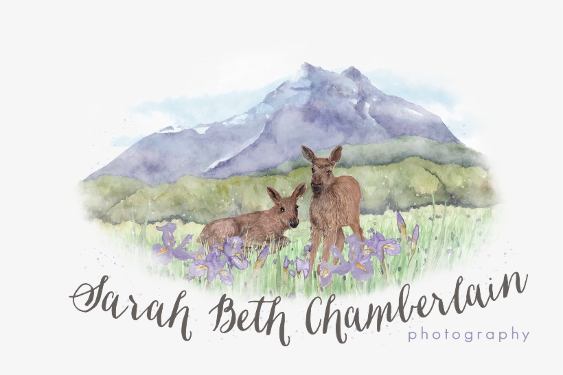 Sarah Beth - Info - Sarah Beth Chamberlain Photography, transparent png #532397