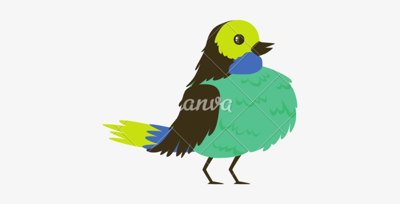 Tropical Bird Vector - Bird, transparent png #532804
